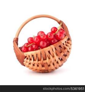 Red currants in basket isolated on white background cutout