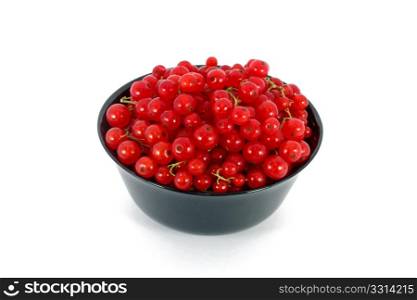 Red currants in black bowl, isolated on white