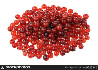 Red currants isolated on white background