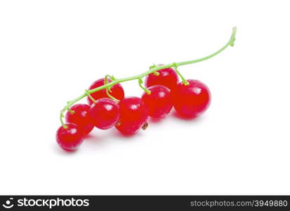 red currants on a white background