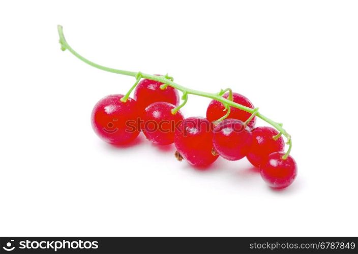 red currants on a white background