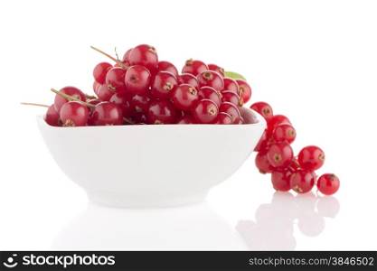 Red Currants on white ceramic bowl close up on white background.