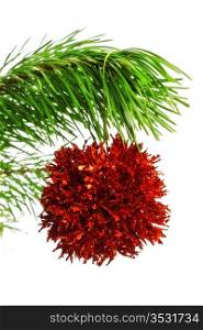 red decoration ball on pine branch