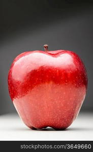 red delicious apple on gray background