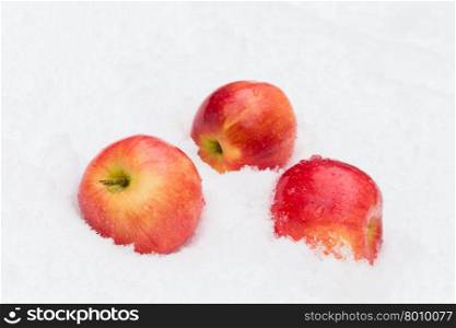 Red delicious Christmas apples resting in snow