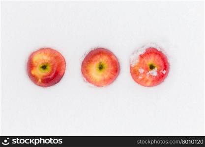 Red delicious Christmas apples resting in snow
