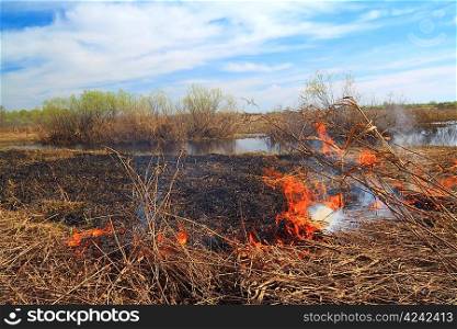 red fire on spring field in dry herb