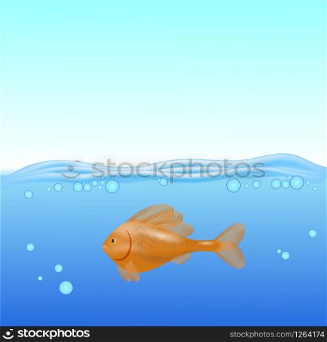 Red Fish Swims on a Blurred Sea Background.. Red Fisn Swims on a Blurred Sea Background