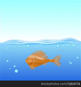 Red Fish Swims on a Blurred Sea Background.. Red Fisn Swims on a Blurred Sea Background