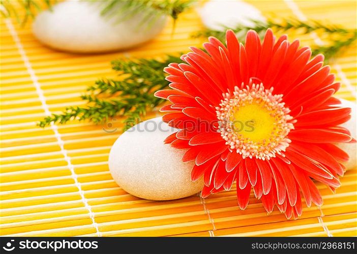 Red flower and stack of spa pebbles