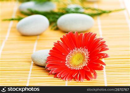 Red flower and stack of spa pebbles