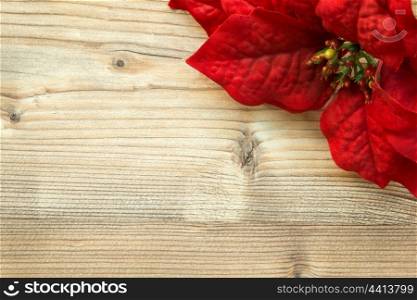 Red flower for Christmas decoration on a wooden background