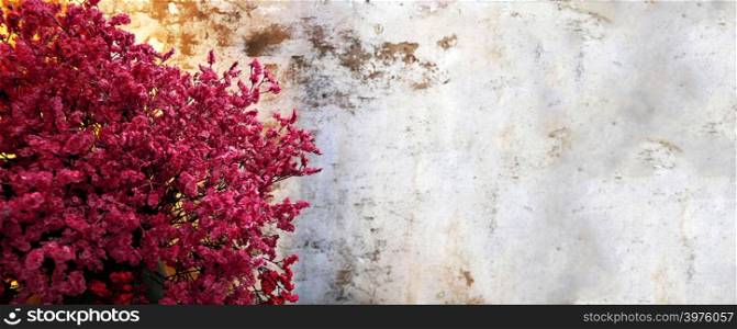 Red flower on concrete grunge wall background with copy space.