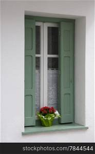 Red flowers on the white window with green jalousie