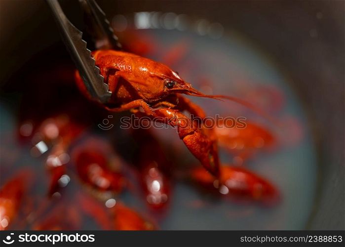 Red fresh appetizing crayfish are boiled in a saucepan. Crayfish for beer. Red fresh appetizing crayfish are boiled in a saucepan. Crayfish for beer.