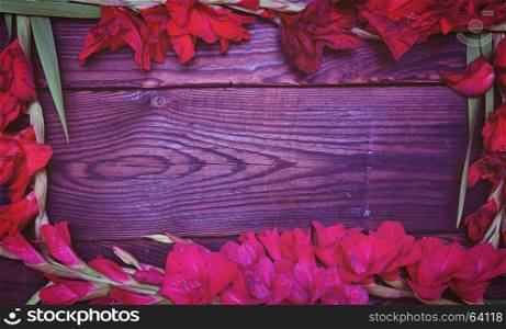 Red galadiolus on a brown wooden background, free space in the middle