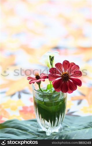 Red Gerbera or Barberton daisy flowers in clear glass decorate on table. Chrysanthemum blooming flower.