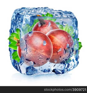 Red gooseberry in ice cube isolated on white