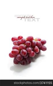 Red Grape on white background