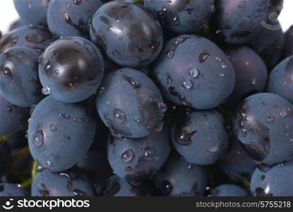 Red grapes with water drops. Studio macro shot