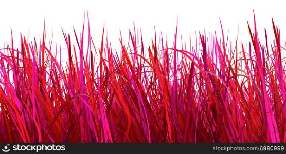 red grass isolated on white background, 3d illustration