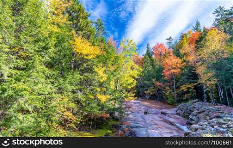 Red, green and yellow trees of New England with creek in October. Foliage season, USA.