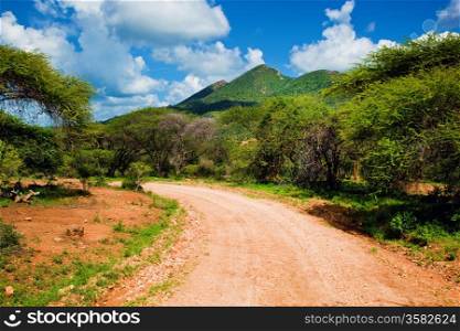Red ground road and savanna landscape in Africa. Tsavo West, Kenya.
