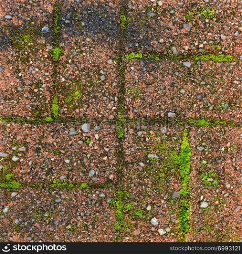 Red grunge brick wall texture with moss background