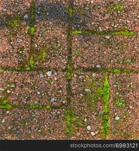 Red grunge brick wall texture with moss background