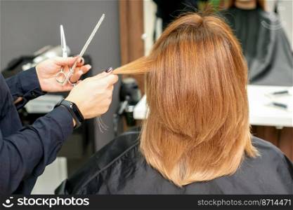 Red-haired woman sitting a front of the mirror and receiving haircut her red long hair by a female hairdresser in a hair salon, back view. Red-haired woman sitting a front of the mirror and receiving haircut her red long hair by a female hairdresser in a hair salon, back view.