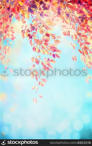 Red hanging foliage branch on blue blurred sky background with bokeh, frame