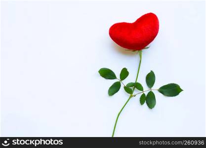 Red heart with rose branch on white background. Copy space. Concept background for Valentines Day