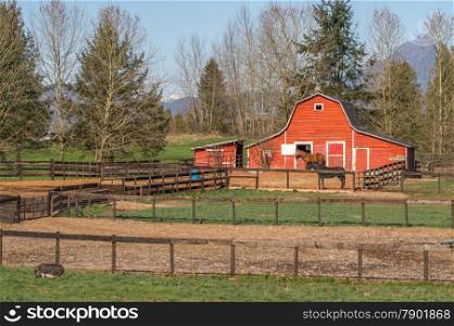 Red Horse barn with Two Horses and a Potbelly Pig