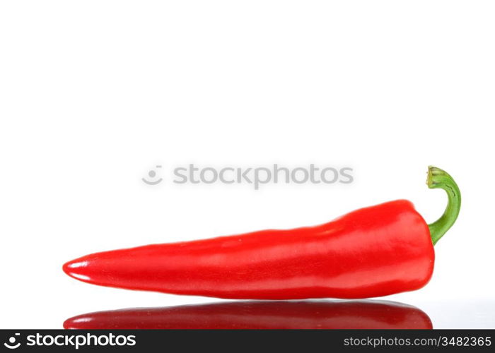 red hot chili pepper isolated on white