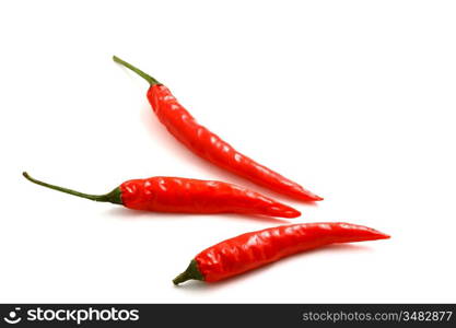 red hot chili pepper isolated on white