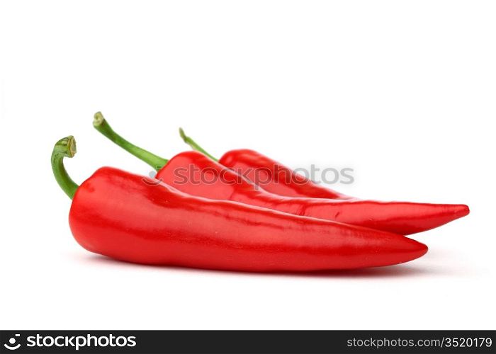 red hot chili pepper isolated on white