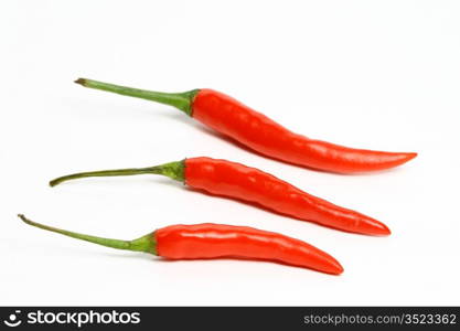 red hot chili pepper isolated on white