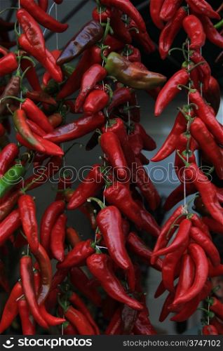 Red hot chili peppers on strings at a French market