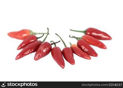 Red hot chilli pepper isolated on white