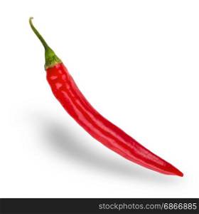 Red hot natural chili pepper pod realistic image with shadow for culinary products