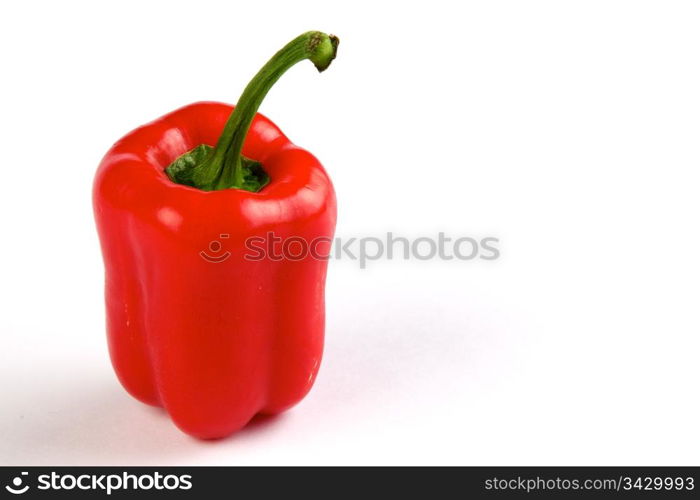 red isolated bell pepper on white background. Red isolated bell pepper