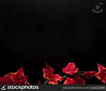 red ivy leaves placed bottom black background