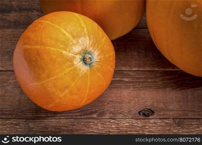 red kuri winter squash and pumpkins against rustic barn wood