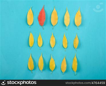 Red Leaf In Pile Of Yellow Autumn Leaves On Turquoise Wood Table