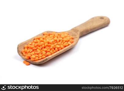 Red lentils on shovel