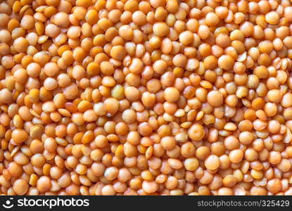 Red lentils: top view