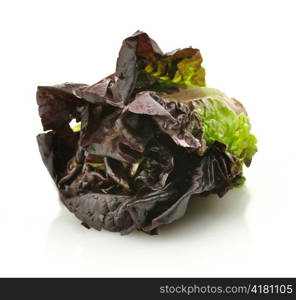 red lettuce