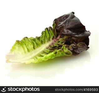 red lettuce leaf