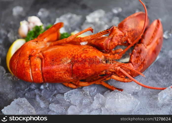 Red lobster dinner seafood with herb spices lemon parsley served on table and ice in the restaurant gourmet food healthy boiled lobster cooked / Fresh lobster food on a black plate background