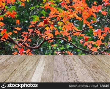 red map≤≤aves pattern nature background with perspective wood©space
